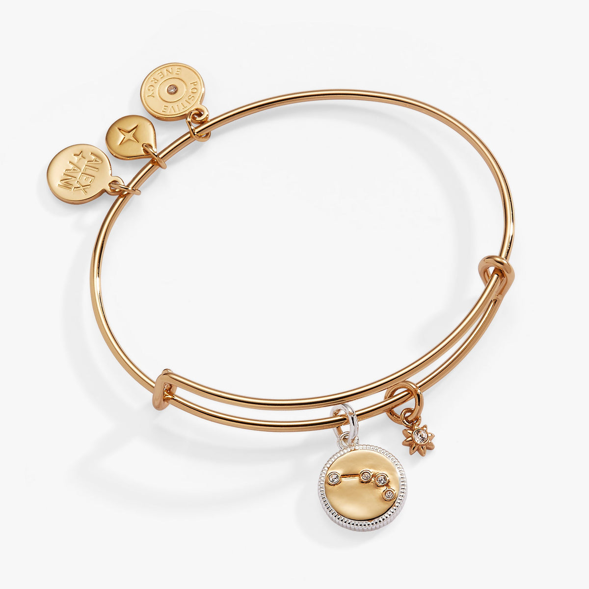 Aries Zodiac Charm Bangle Two Tone | Alex and Ani
