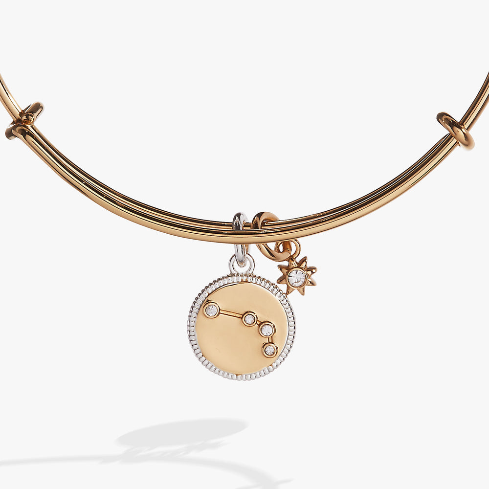 Aries Zodiac Charm Bangle Two Tone | Alex and Ani