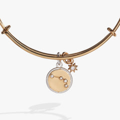 Aries Zodiac Charm Bangle Two Tone | Alex and Ani