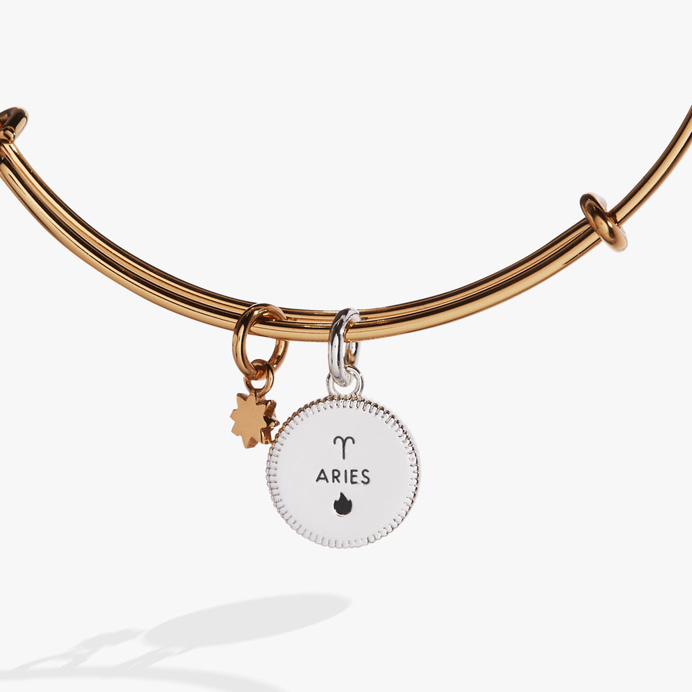 Aries Zodiac Charm Bangle Two Tone | Alex and Ani