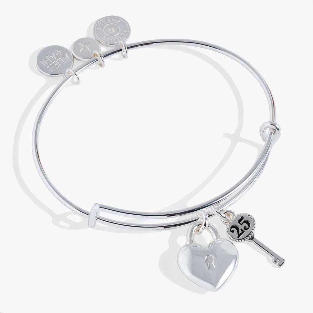 25th Anniversary Bangle Silver | Alex and Ani