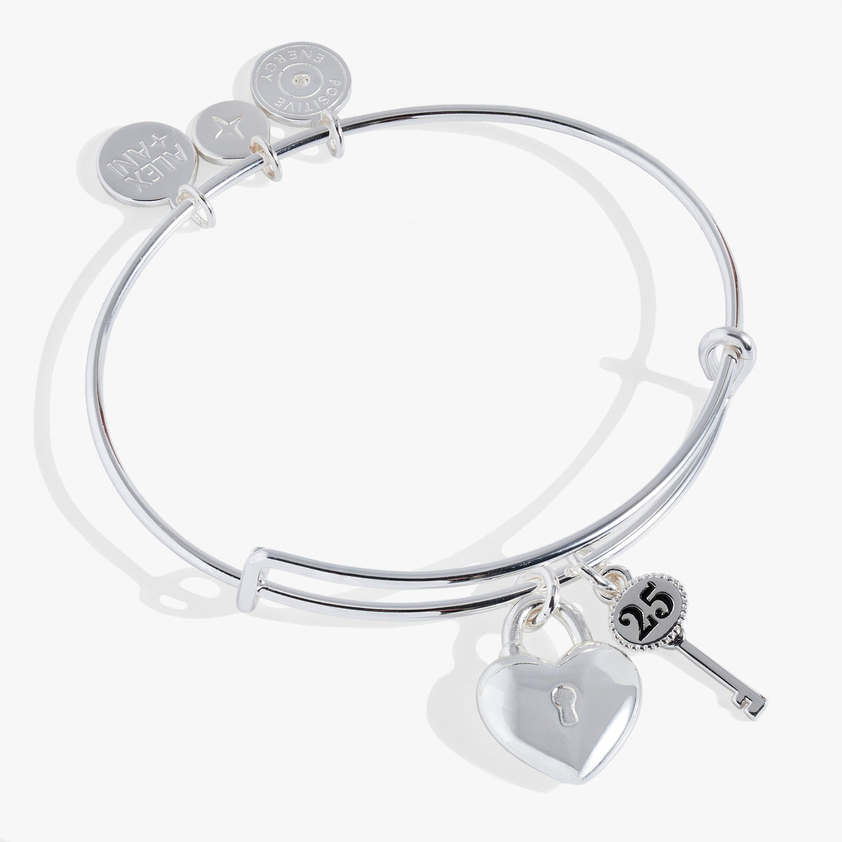 25th Anniversary Bangle Silver | Alex and Ani