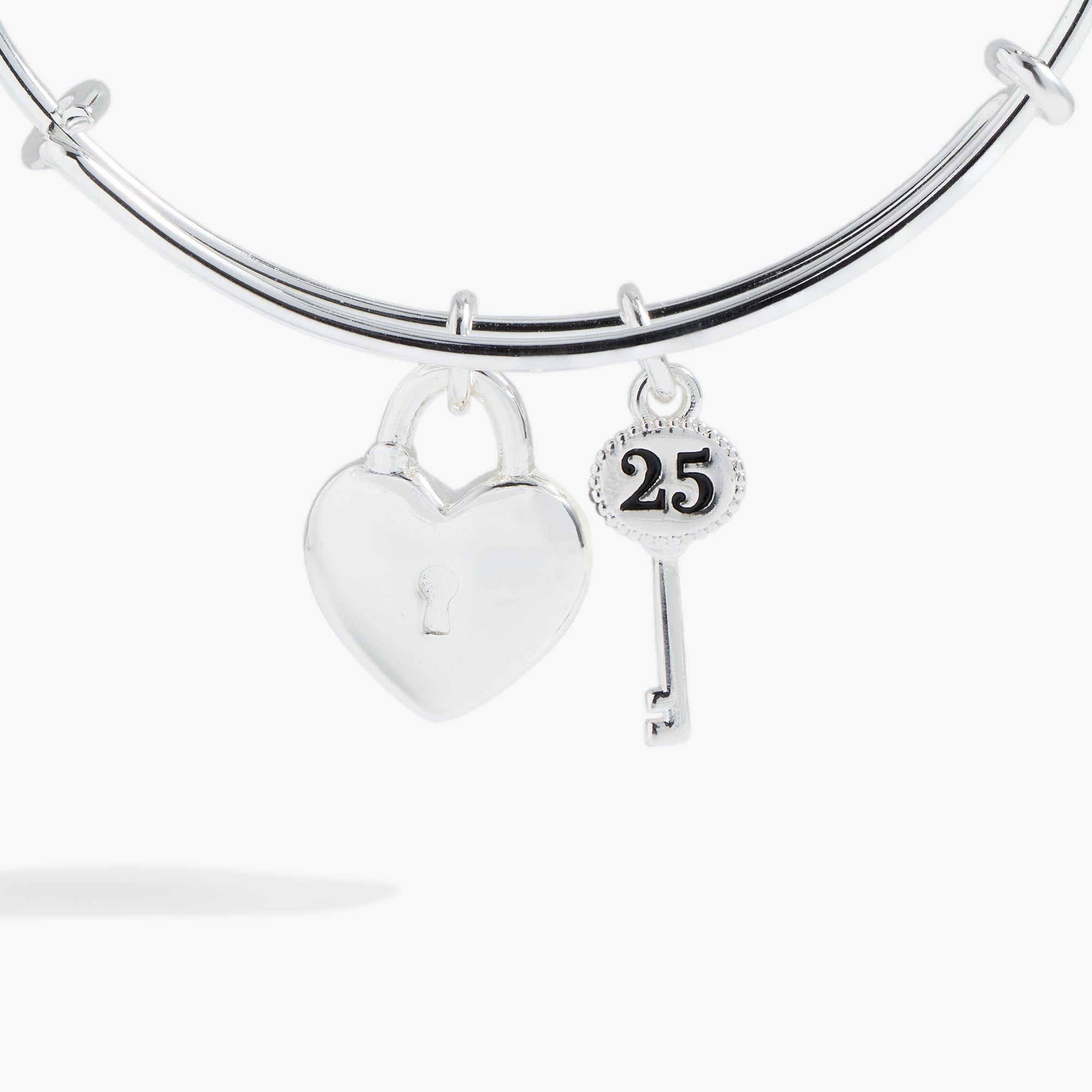 25th Anniversary Bangle Silver | Alex and Ani