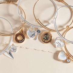 25th Anniversary Bangle Silver | Alex and Ani