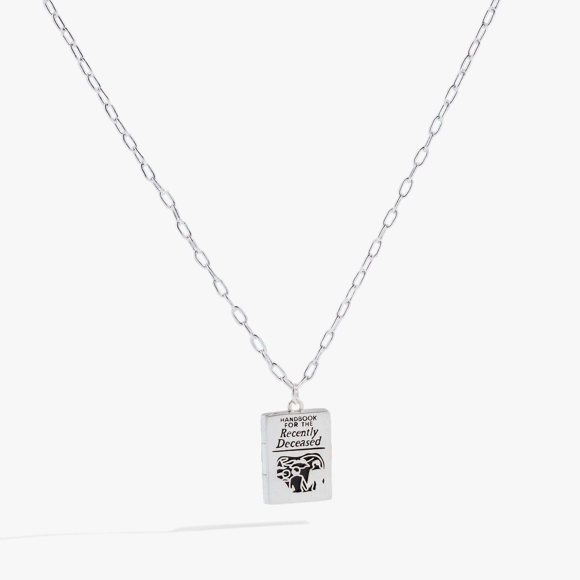 Beetlejuice® Pendant Necklace Silver | Alex and Ani