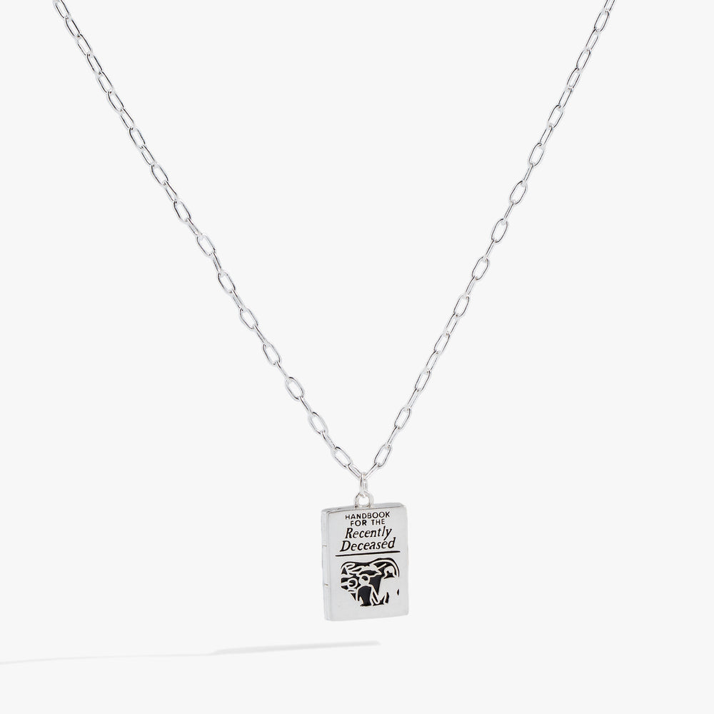 Beetlejuice® Pendant Necklace Silver | Alex and Ani
