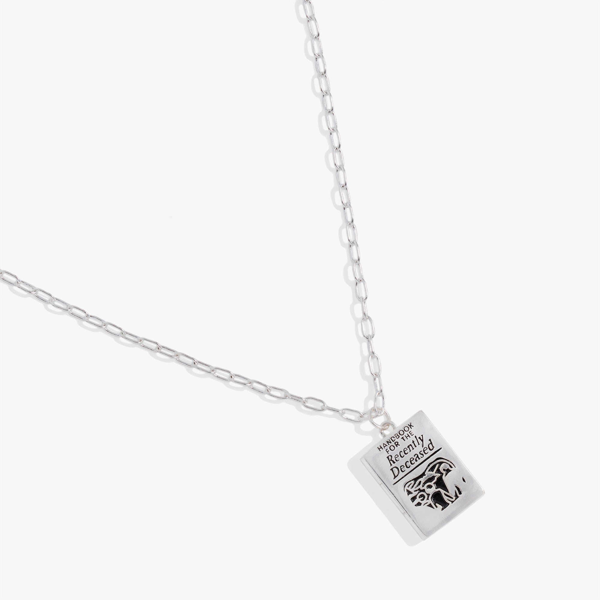 Beetlejuice® Pendant Necklace Silver | Alex and Ani
