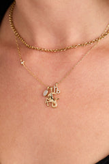 Capricorn Charm Cluster Necklace Stainless Steel Gold | Alex and Ani