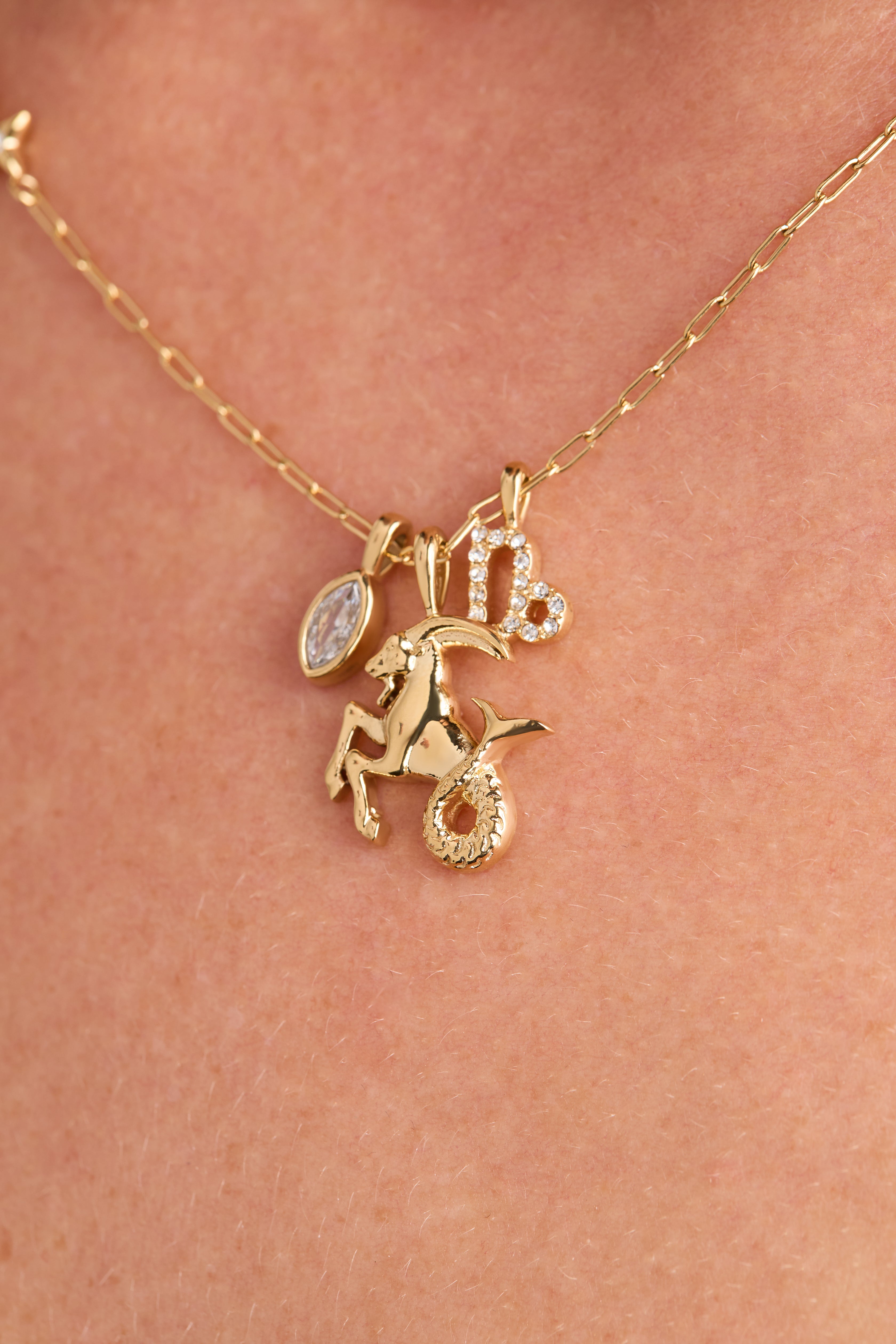 Capricorn Charm Cluster Necklace Stainless Steel Gold | Alex and Ani