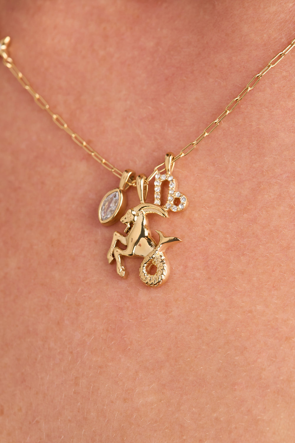 Capricorn Charm Cluster Necklace Stainless Steel Gold | Alex and Ani