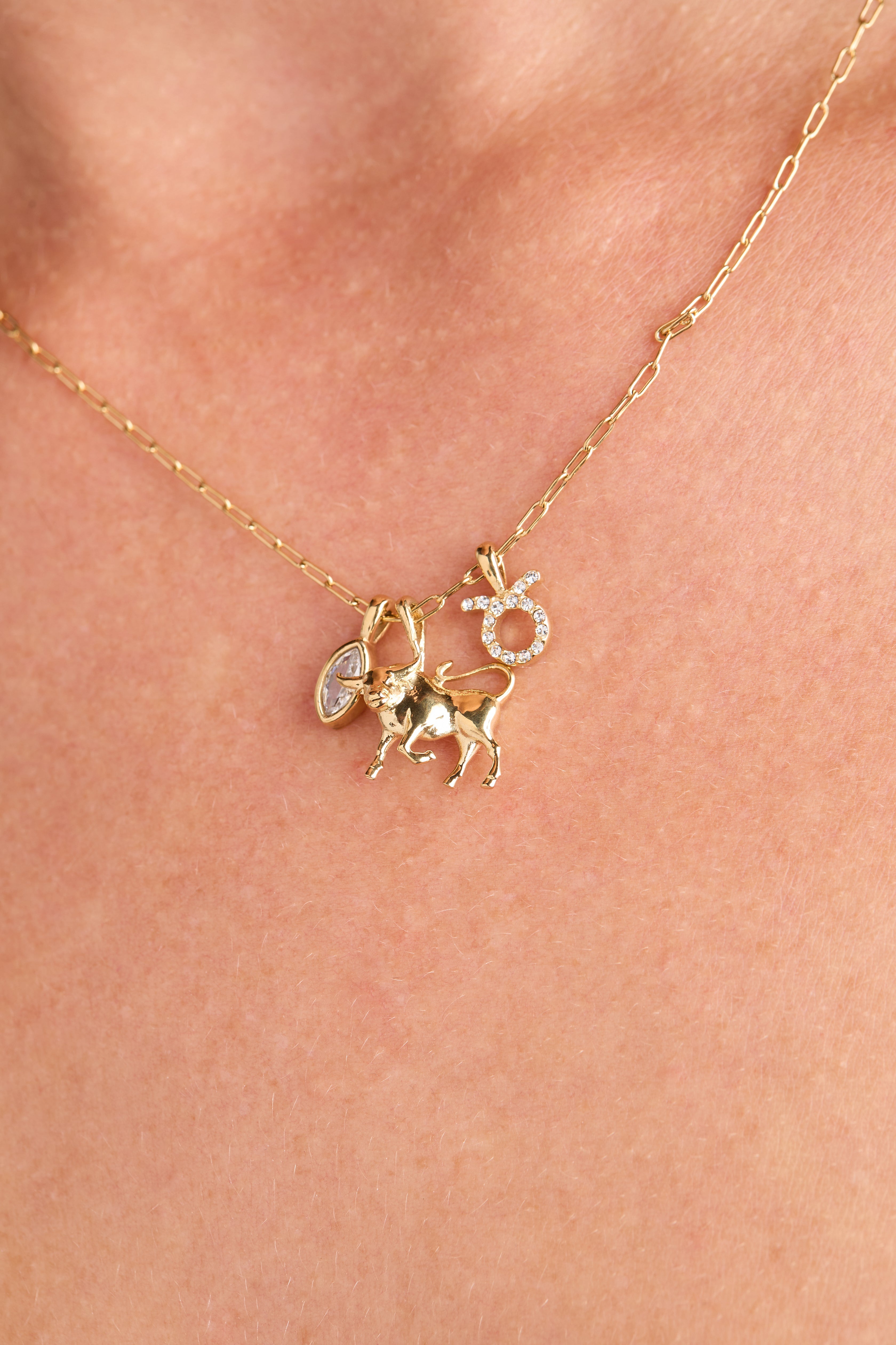 Taurus Charm Cluster Necklace Stainless Steel Gold | Alex and Ani