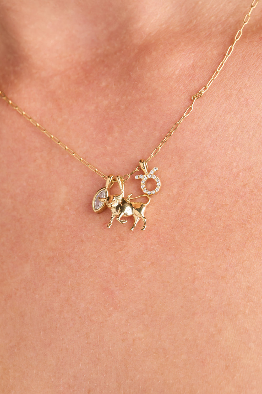 Taurus Charm Cluster Necklace Stainless Steel Gold | Alex and Ani