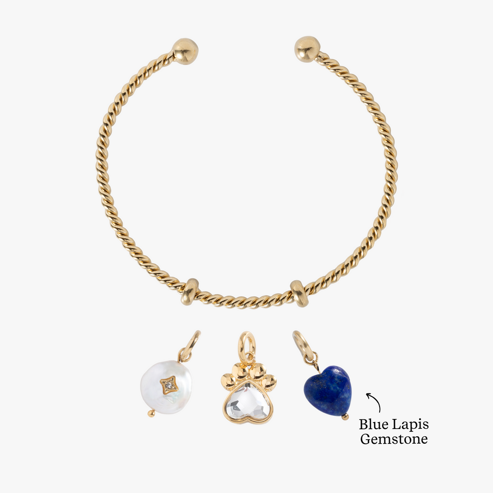 Pawsitively Yours Charm Bundle  | Alex and Ani