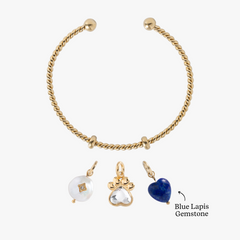 Pawsitively Yours Charm Bundle  | Alex and Ani