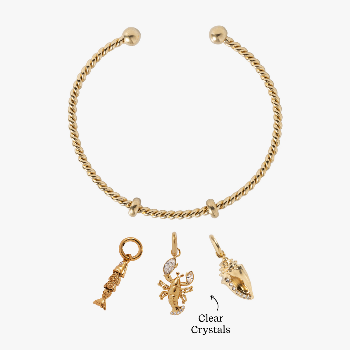 Catch of the Day Charm Bundle  | Alex and Ani