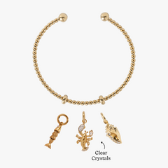 Catch of the Day Charm Bundle  | Alex and Ani