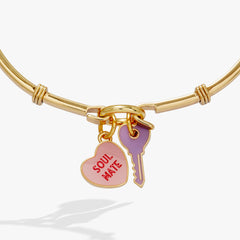 Sweethearts® ‘Soul Mate’ Tension Bangle Gold | Alex and Ani