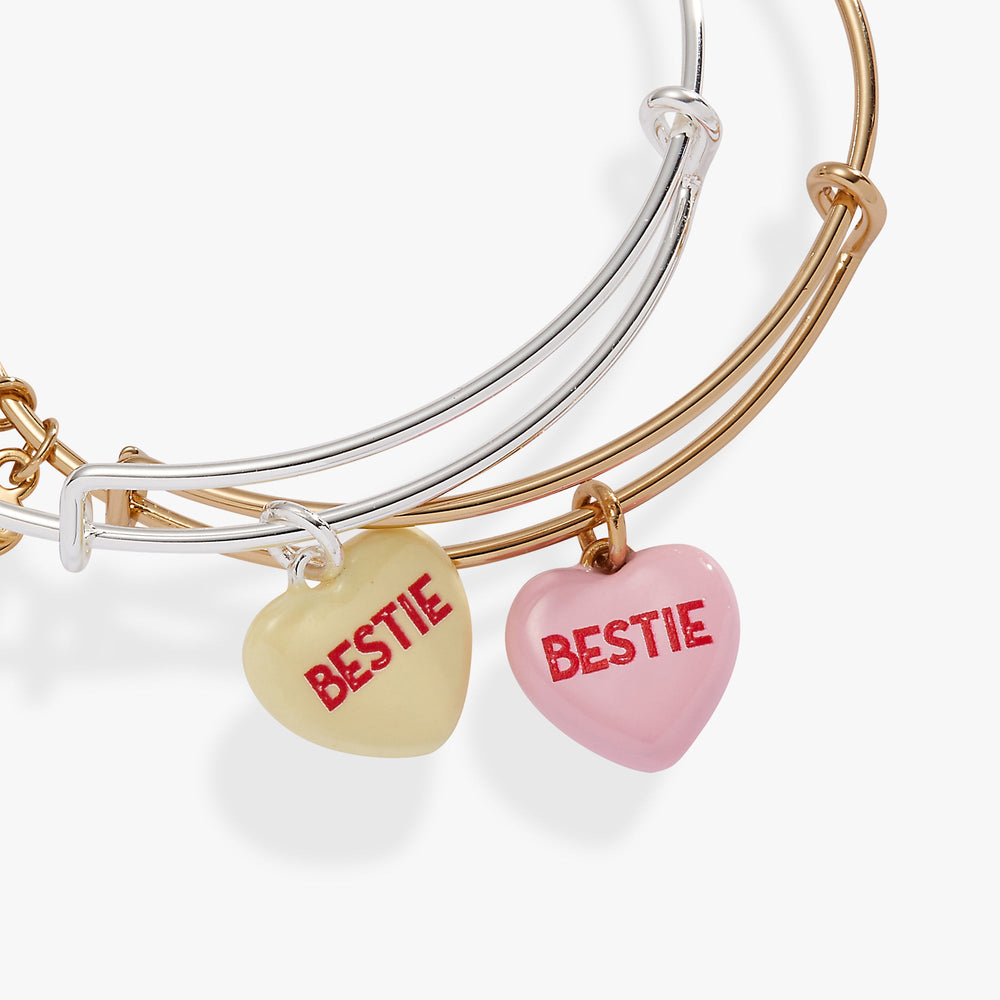 Sweethearts EWB-2 set bestie Two Tone | Alex and Ani