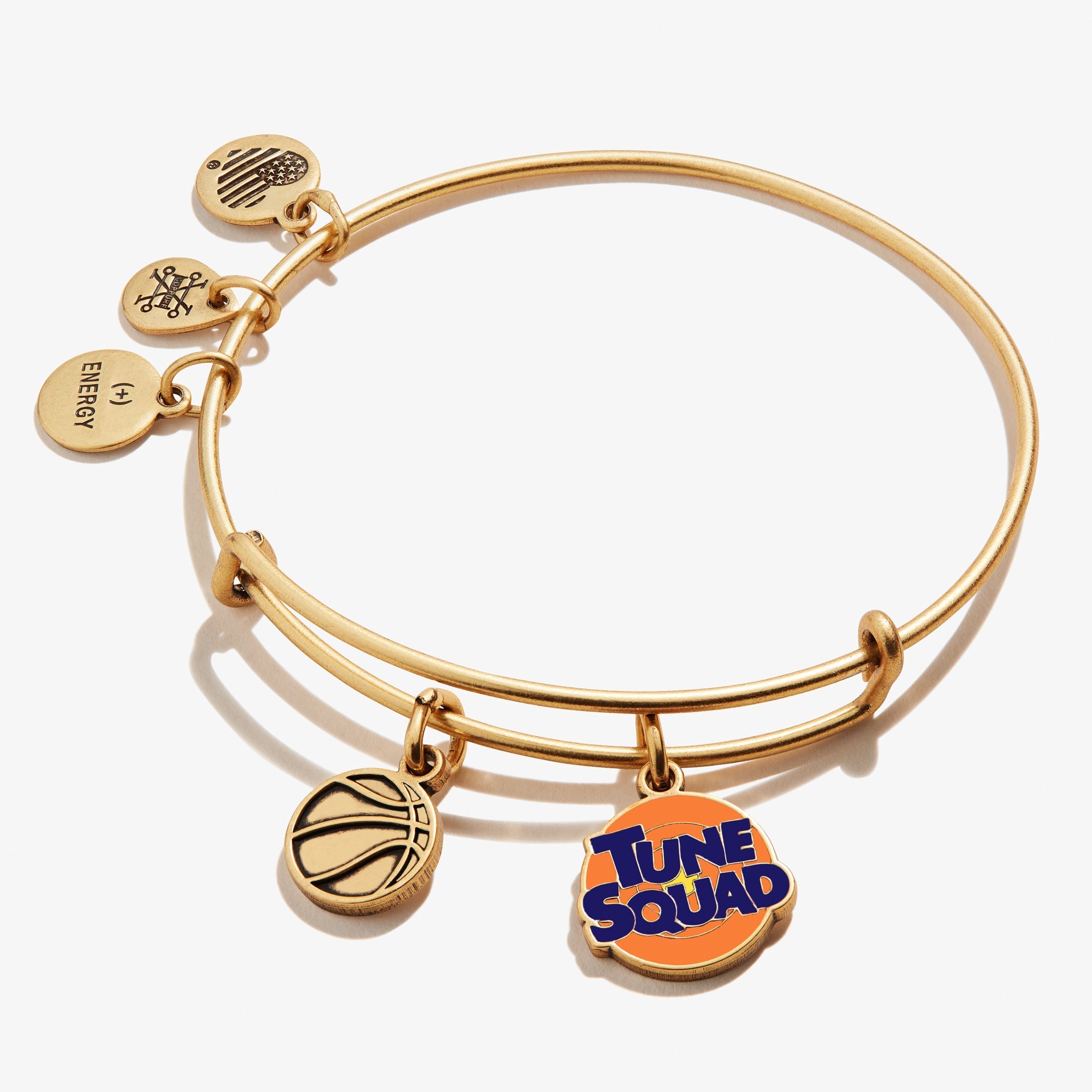 Space Jam 'Tune Squad' Duo Charm Bangle - Alex and Ani Rafaelian Gold | Alex and Ani