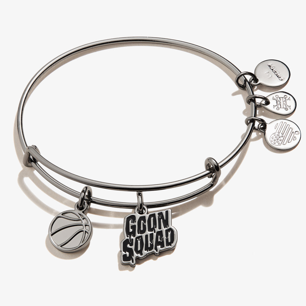 Space Jam 'Goon Squad' Duo Charm Bangle - Alex and Ani Midnight Silver | Alex and Ani