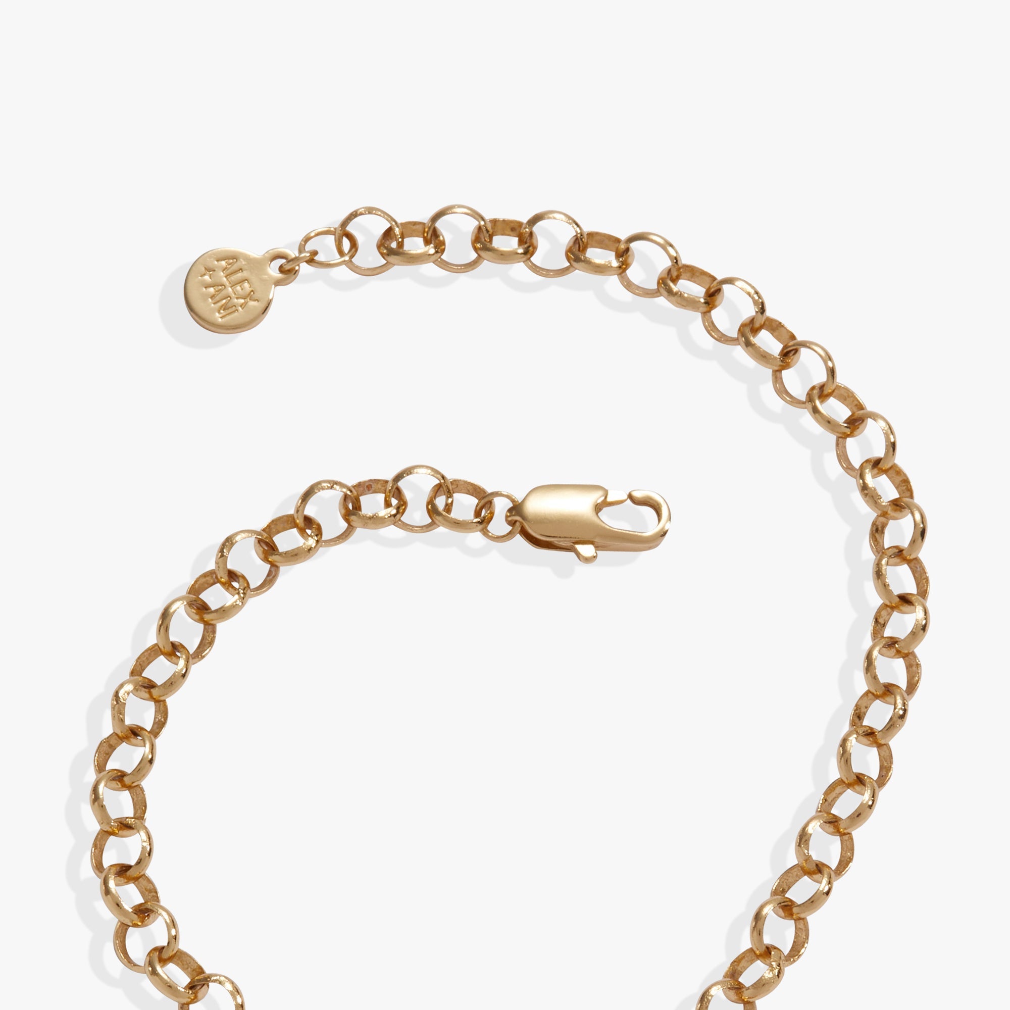 Looney Tunes - Tweety Heart Bracelet Two Tone | Alex and Ani