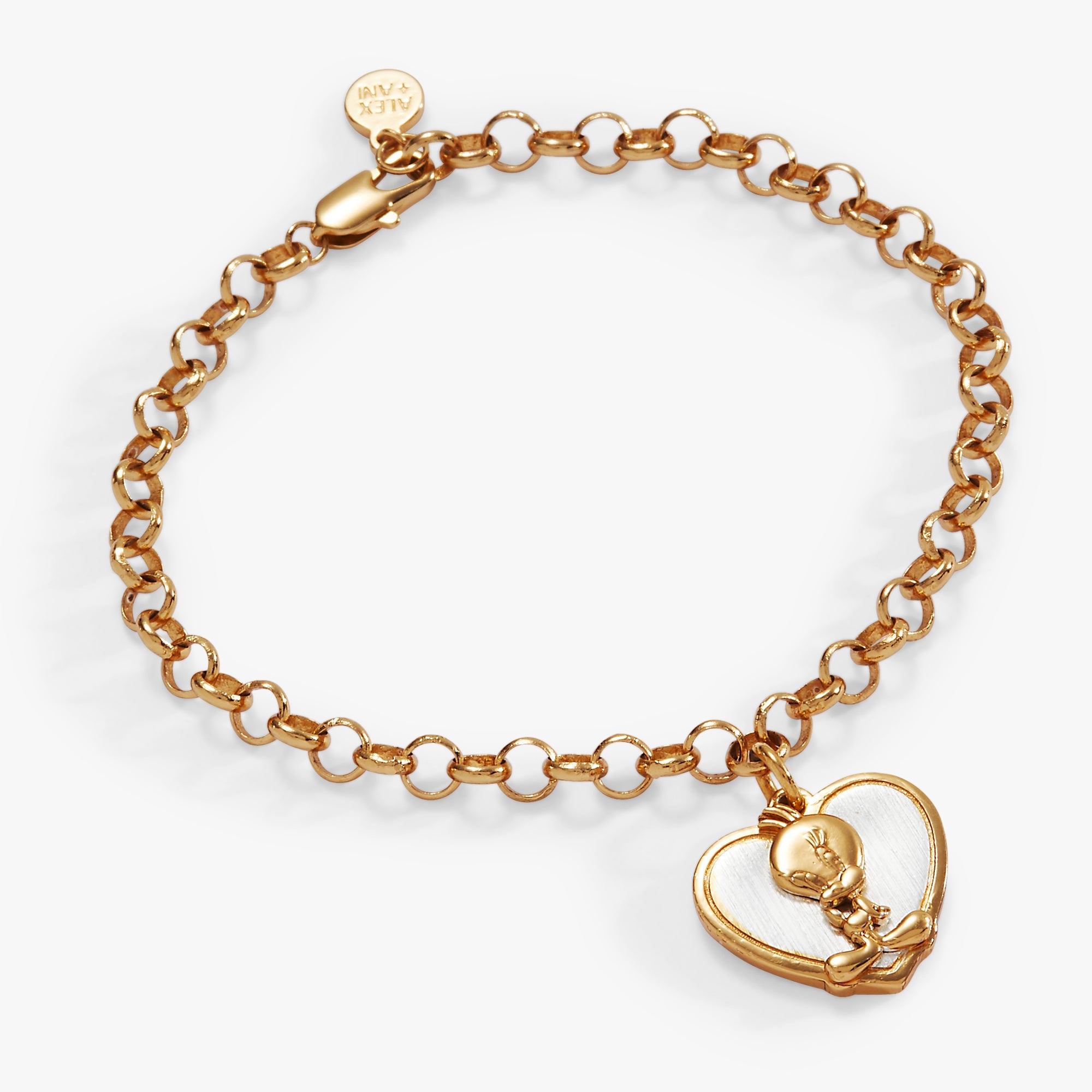 Looney Tunes™ Collector's Pack Bundle  | Alex and Ani