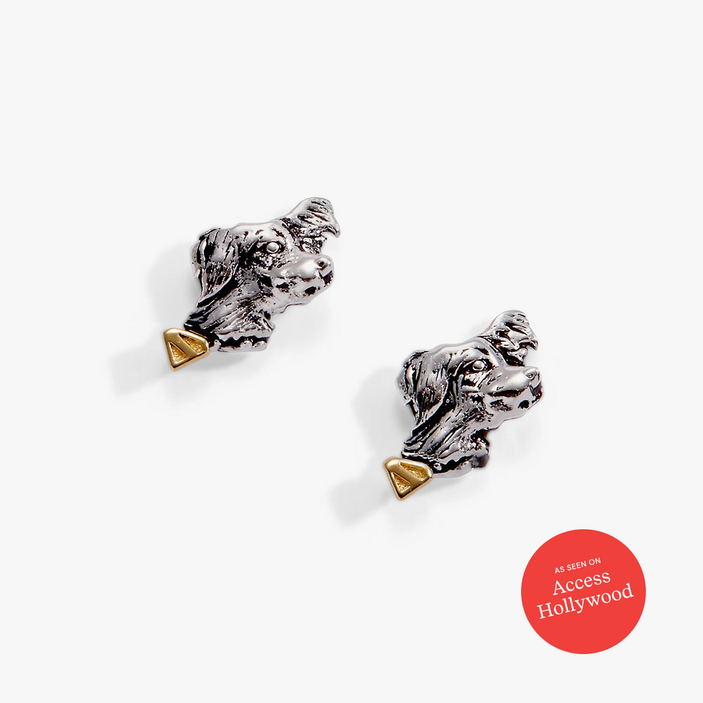 SUPERMAN™ Krypto Stud Two Tone | Alex and Ani