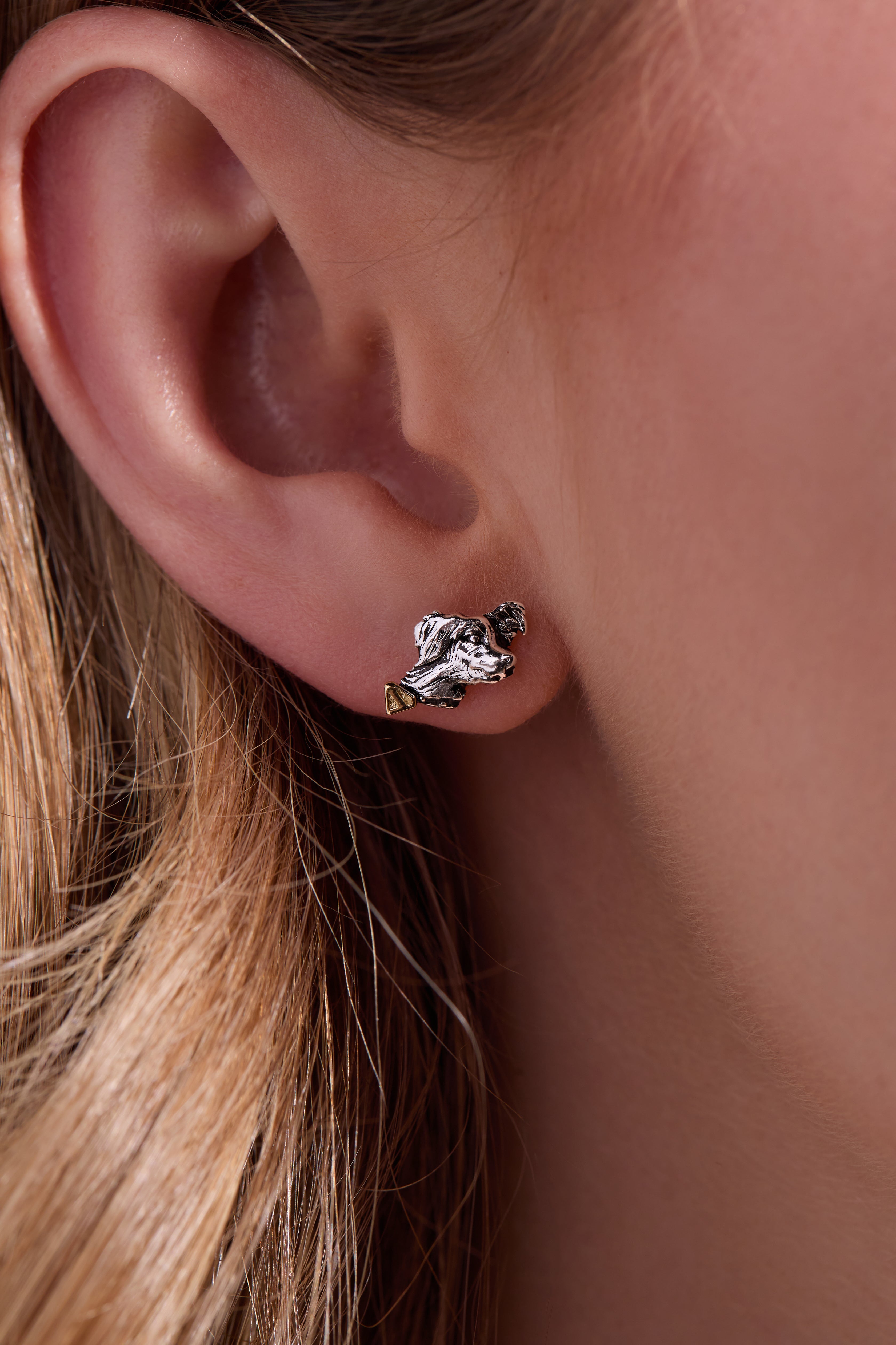 SUPERMAN™ Krypto Stud Two Tone | Alex and Ani
