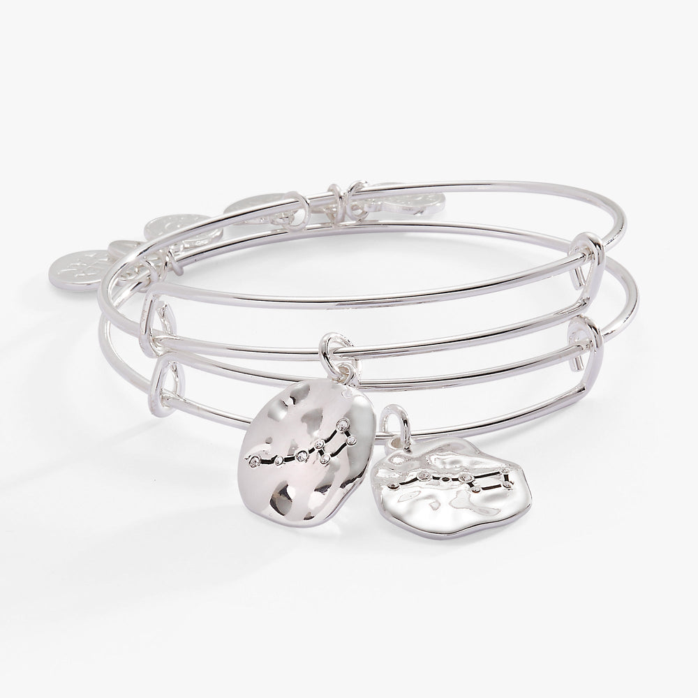 Little Dipper BFF Bangle Set of 2 Silver | Alex and Ani