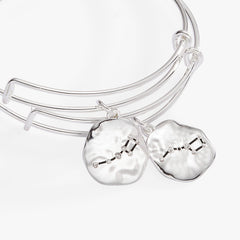 Little Dipper BFF Bangle Set of 2 Silver | Alex and Ani