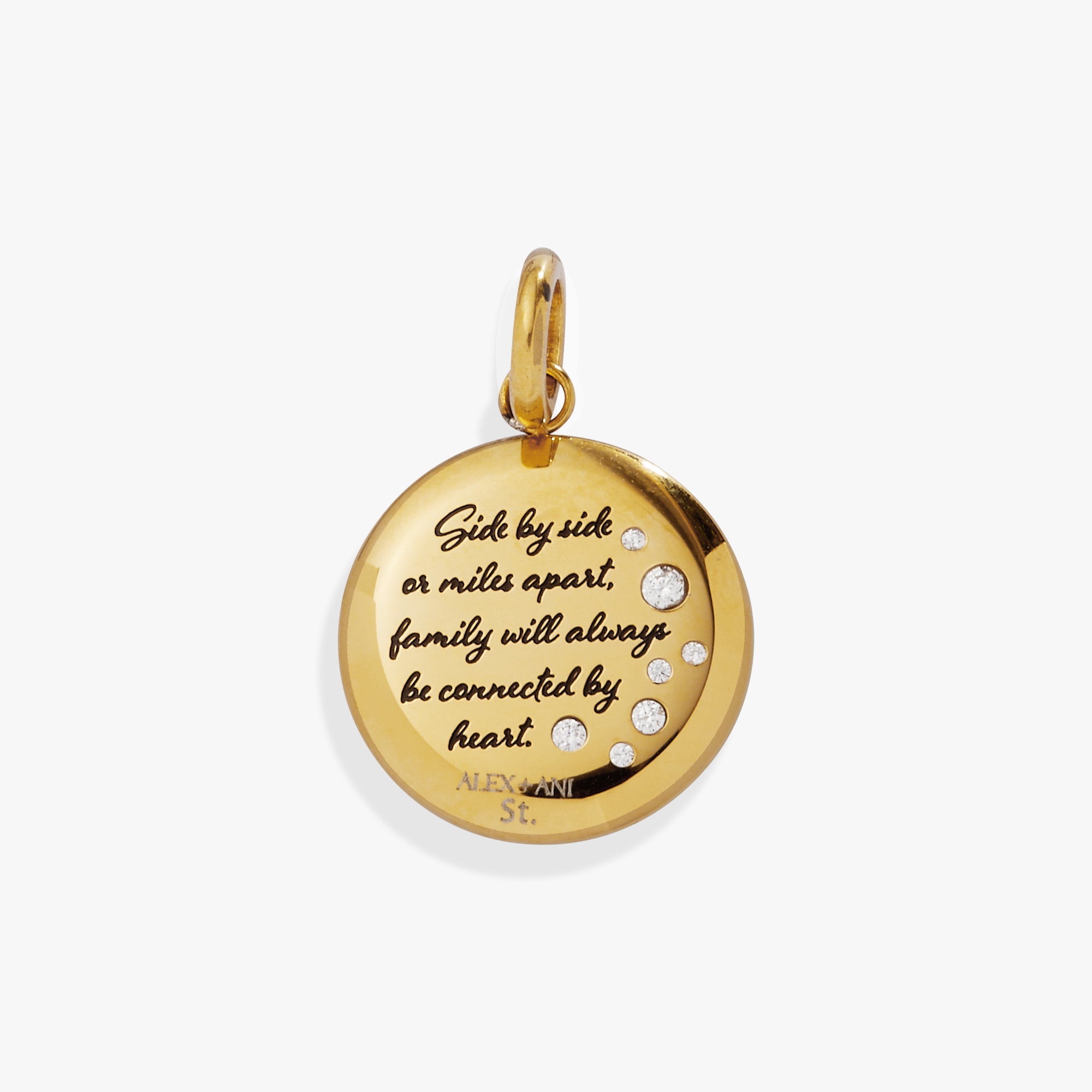 Grandma Hummingbird Disc Charm Stainless Steel Gold | Alex and Ani