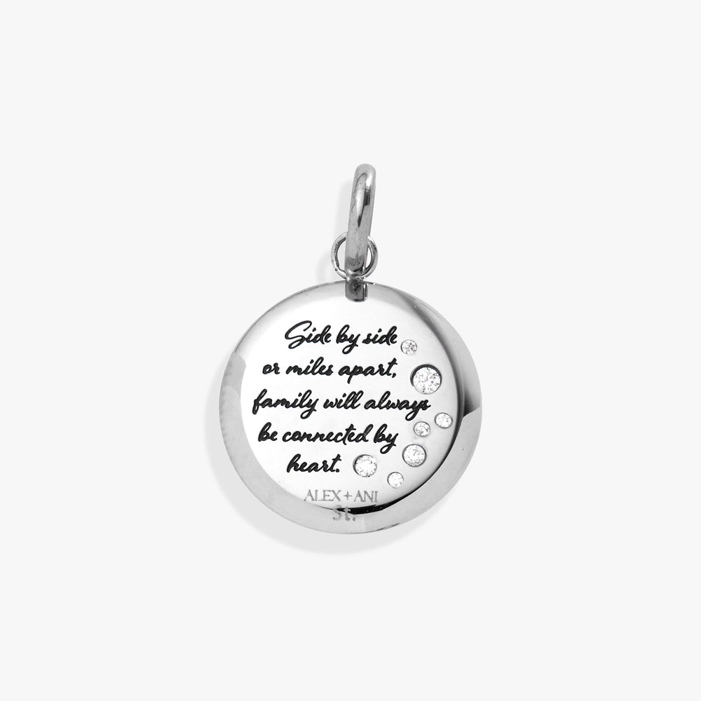 Grandma Hummingbird Disc Charm Stainless Steel Gold | Alex and Ani