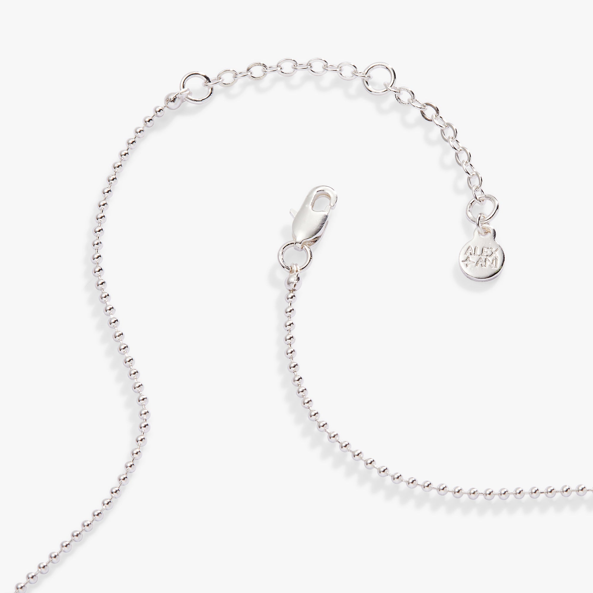 Capricorn Zodiac Double-Sided Charm Necklace Silver | Alex and Ani