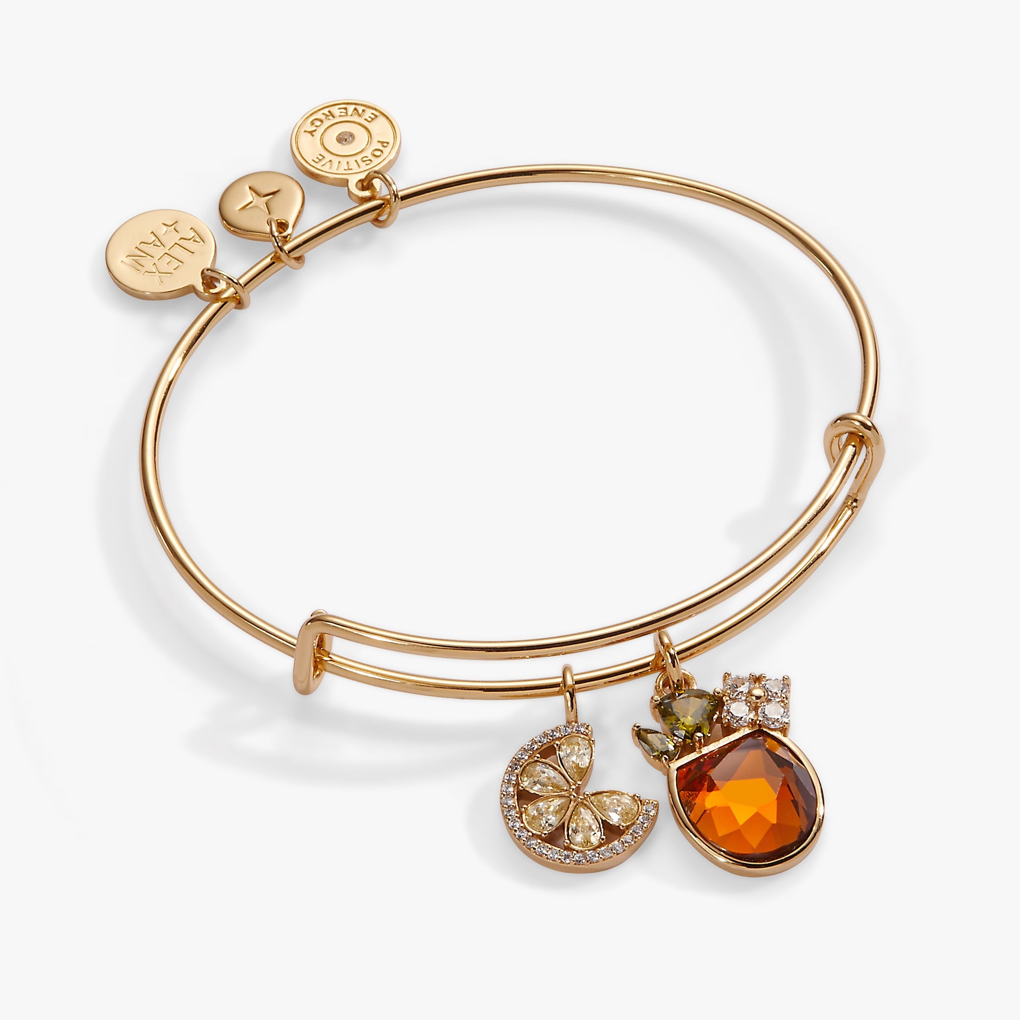 Spritz O Clock Bangle Gold | Alex and Ani