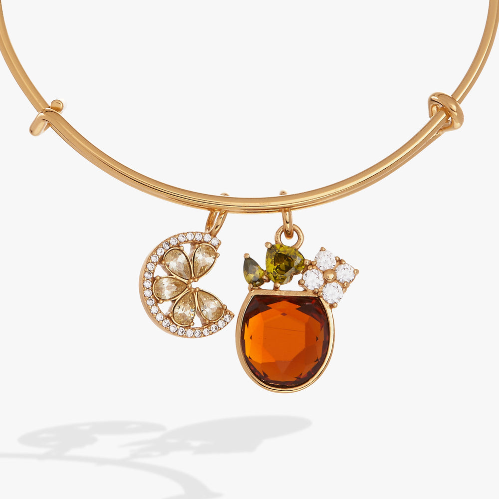 Spritz O Clock Bangle Gold | Alex and Ani