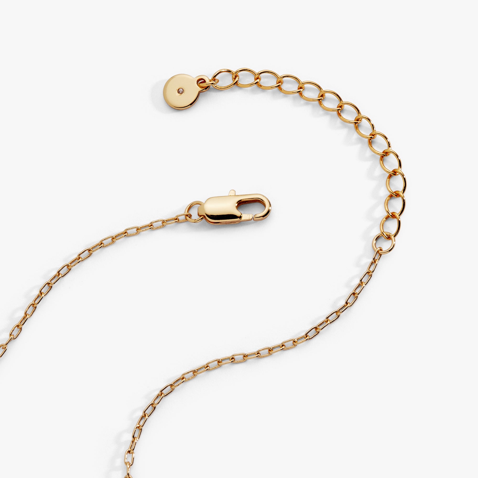Cardinal Necklace Silver | Alex and Ani