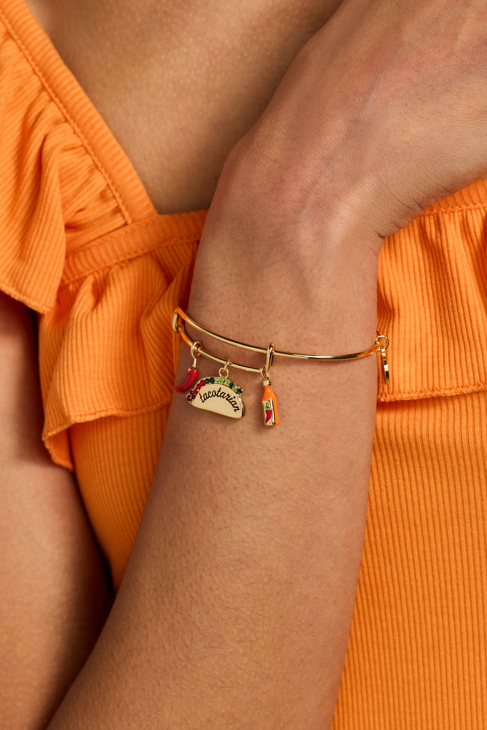Tacotarian' Multi Charm Bangle
    
    
    
       Gold | Alex and Ani