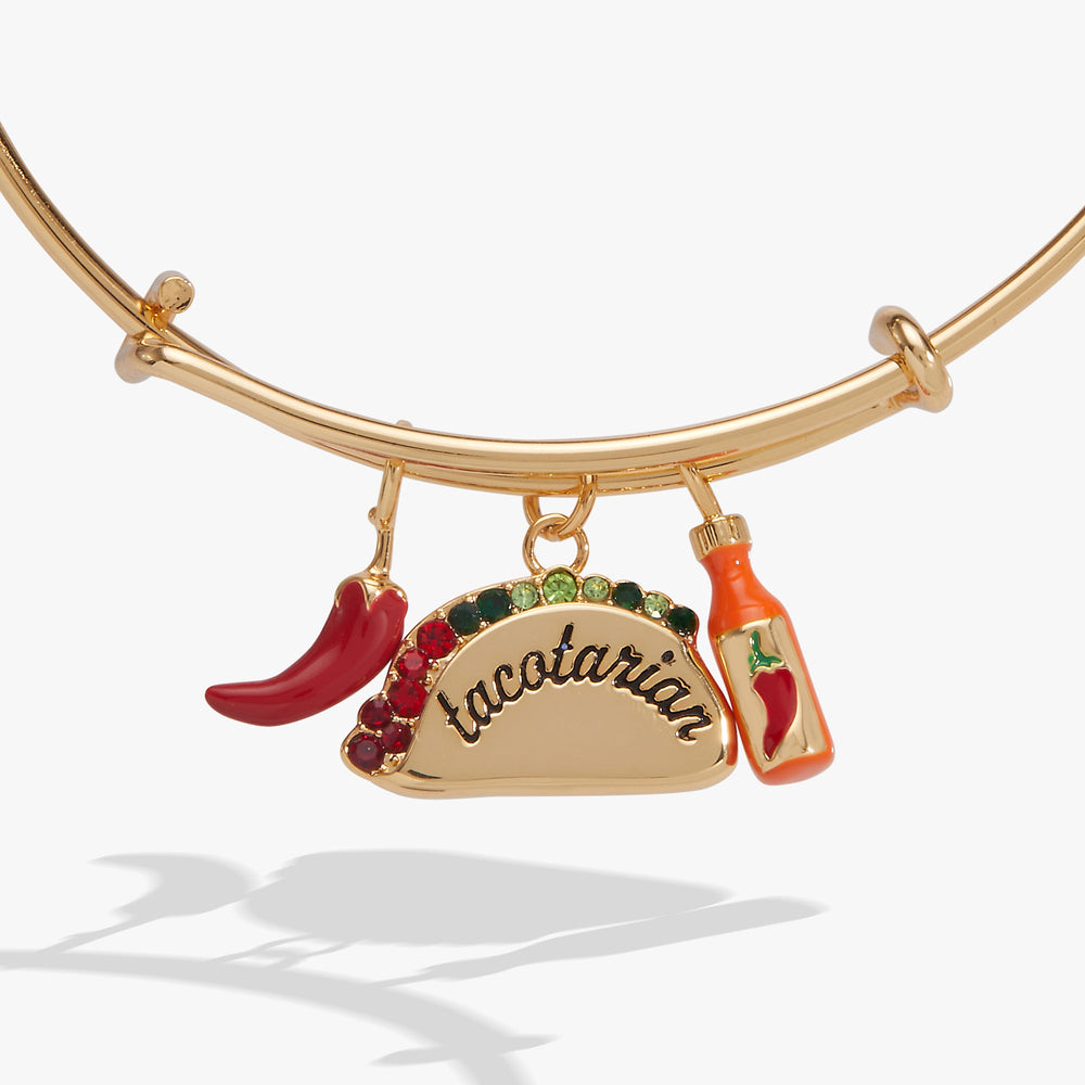 Tacotarian' Multi Charm Bangle
    
    
    
       Gold | Alex and Ani
