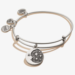 Moon + Star Charm Bangle Bracelet - Alex and Ani Rafaelian Silver | Alex and Ani