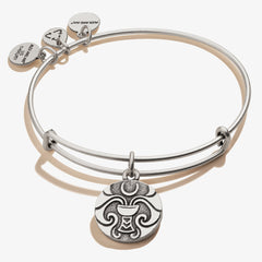 Moon + Star Charm Bangle Bracelet - Alex and Ani Rafaelian Silver | Alex and Ani