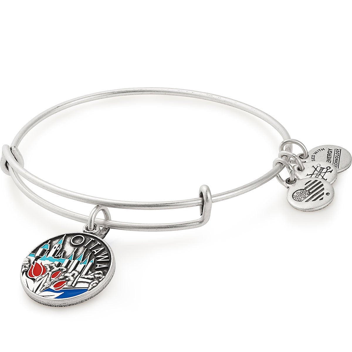 Ottawa Charm Bangle, Color Infusion - Alex and Ani Rafaelian Silver | Alex and Ani