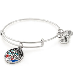 Ottawa Charm Bangle, Color Infusion - Alex and Ani Rafaelian Silver | Alex and Ani