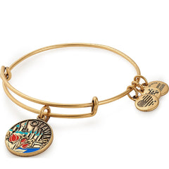 Ottawa Charm Bangle, Color Infusion - Alex and Ani Rafaelian Silver | Alex and Ani