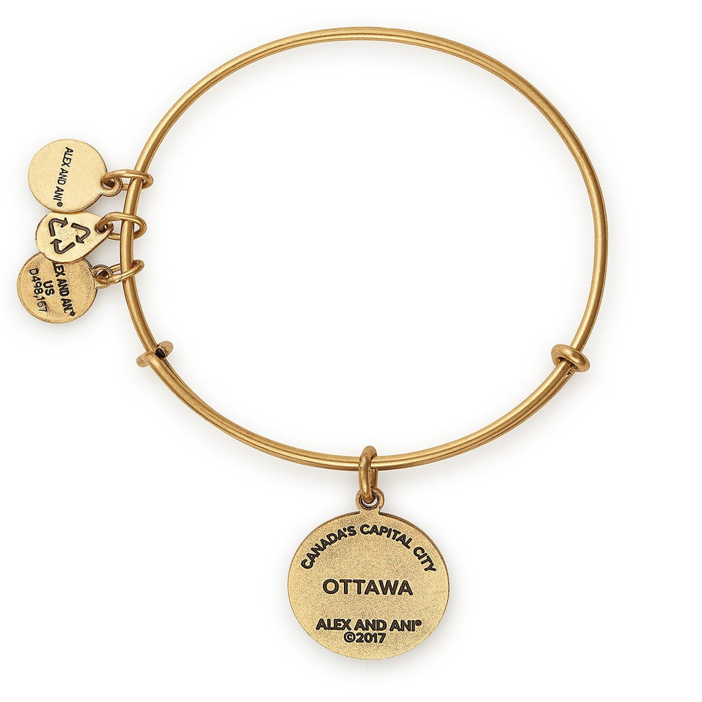 Ottawa Charm Bangle, Color Infusion - Alex and Ani Rafaelian Silver | Alex and Ani