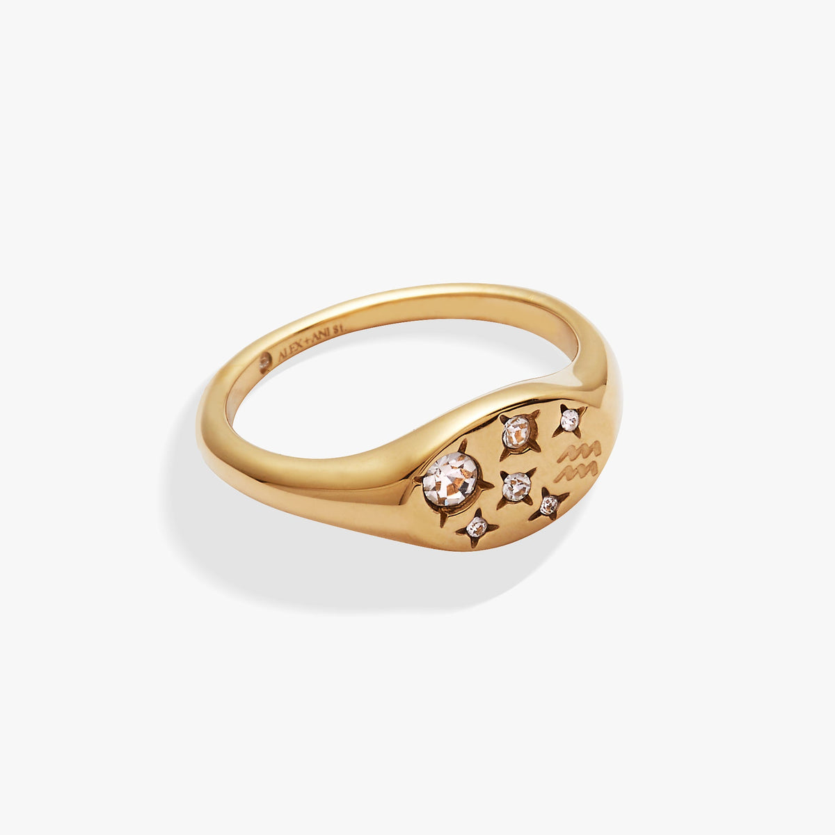 Aquarius Zodiac Ring Stainless Steel Gold | Alex and Ani