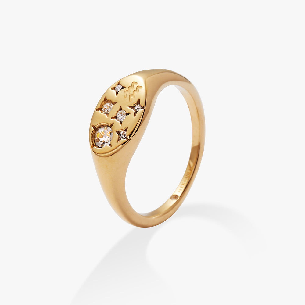 Aquarius Zodiac Ring Stainless Steel Gold | Alex and Ani