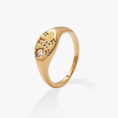 Aquarius Zodiac Ring Stainless Steel Gold | Alex and Ani