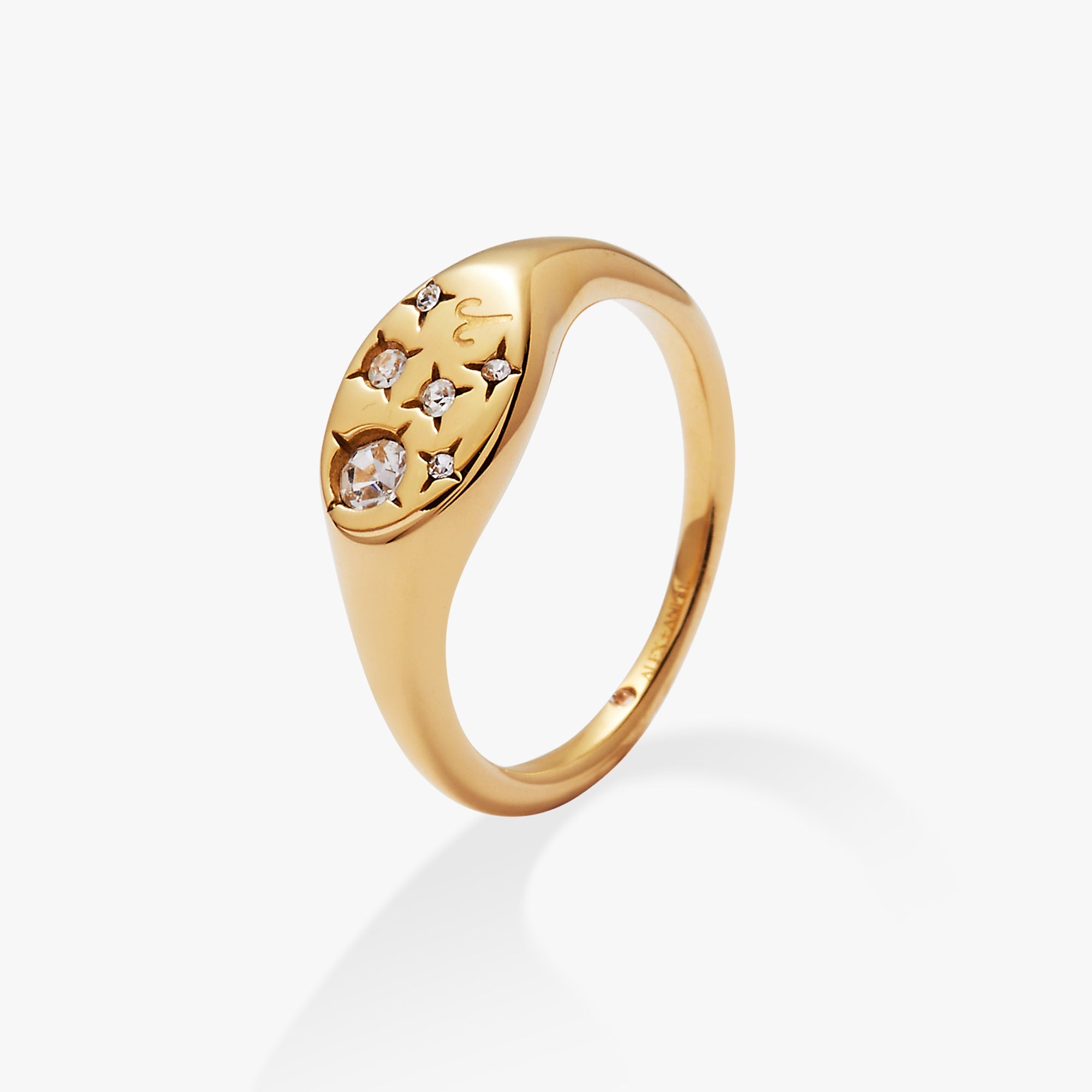 Aries Zodiac Ring Stainless Steel Gold | Alex and Ani