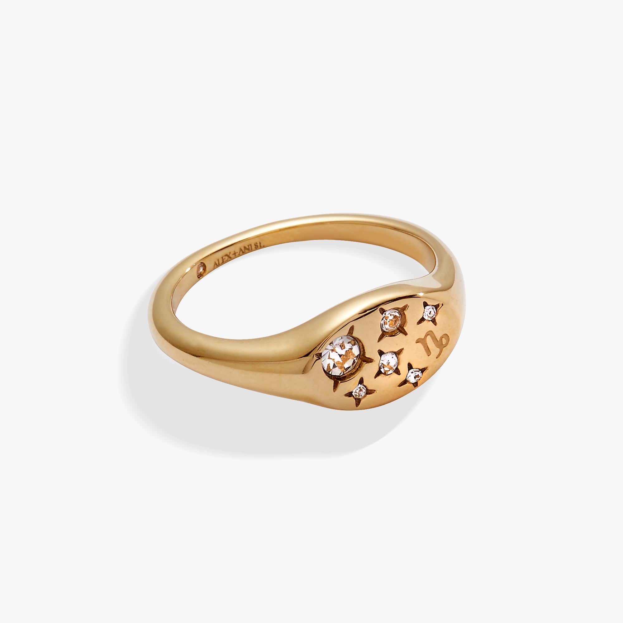 Capricorn Zodiac Ring Stainless Steel Gold | Alex and Ani