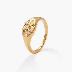 Capricorn Zodiac Ring Stainless Steel Gold | Alex and Ani
